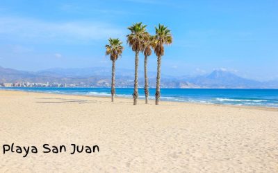 Spain’s Blue Flag Beaches: A Global Benchmark